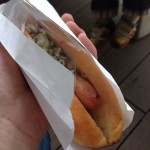 Ho mangiato un cane in salamoia di Kyoto all'Acquario di Kyoto-munejyuka diary