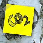 Ich habe das Wort Carbon Zero nachgeschlagen! Null Kohlenstoff ist das Ziel bis 2050!