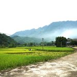 ２０２５年７月１２日（土）午前８時過ぎ、阪神高速＆周辺高速道路の状況を確認！２０２５年２８回目の土曜日の朝！