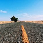 Mercoledì 13 agosto 2025, dopo le 8 del mattino、Controlla lo stato della superstrada Hanshin e delle superstrade circostanti! Una mattina nei giorni feriali durante le vacanze di Obon nel 2025!