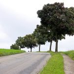 ２０２５年８月１０日（土）午前８時過ぎ、阪神高速＆周辺高速道路の状況を確認！２０２５年３２回目の日曜日の朝！