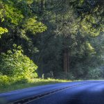 28. Februar 2026 (Boden)、Überprüfen Sie nach 10 Uhr die Autobahnsituation in der Kinki-Region! 9. Samstagmorgen im Jahr 2026!