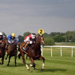 [Corse di cavalli] I posti riservati per il 93esimo Derby del Giappone nel 2026 sono più alti del solito!