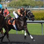 【競馬】阪神競馬場でフォーエバーヤングのボールペンをゲッチュウ！～2026/9/21